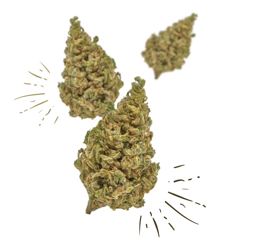 HHC Blüten Monkey